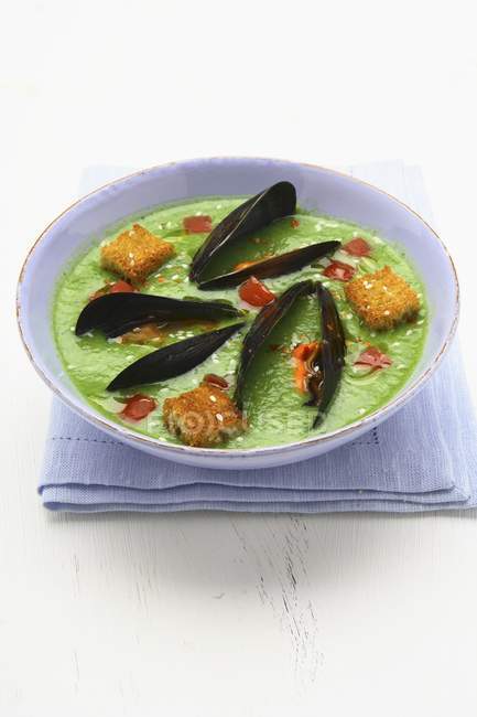 Zucchini Gazpacho mit Miesmuscheln — Stockfoto