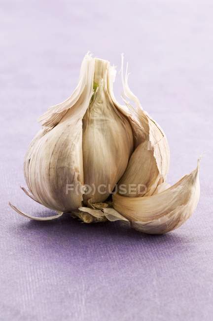 Свежая чесночная луковица — стоковое фото