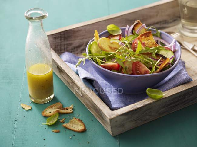 Bread salad with tomatoes — Stock Photo