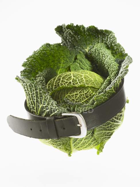 Savoy cabbage with belt — Stock Photo