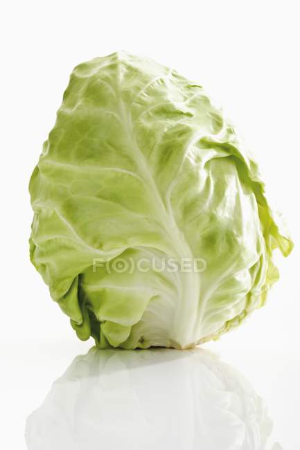 Fresh pointed cabbage — Stock Photo