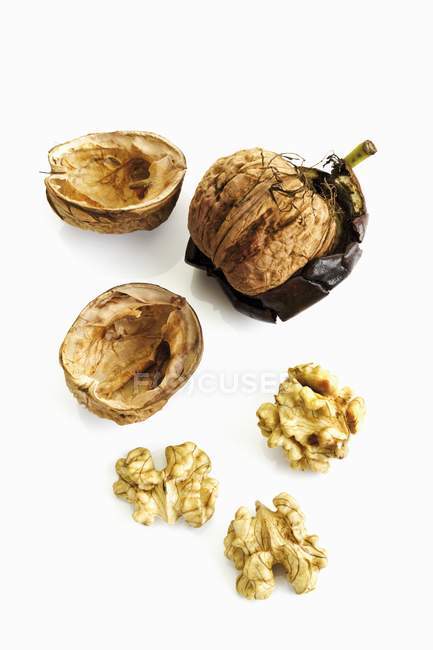 Оболочка и необработанный грецкий орех — стоковое фото