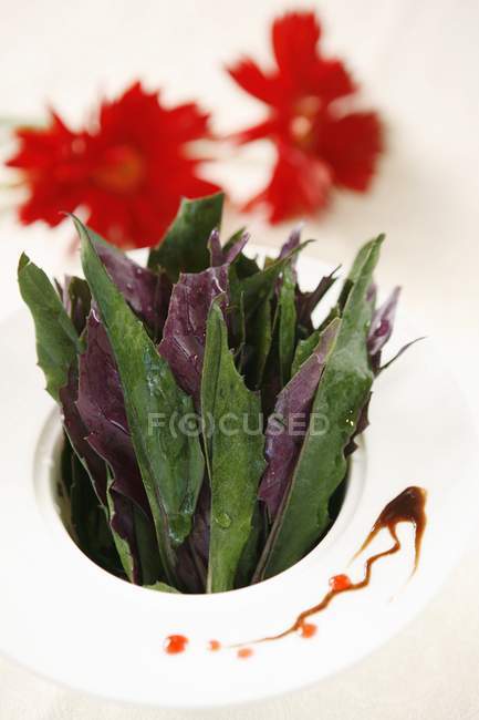 Vista de cerca de las hojas de ensalada en un tazón con salsa - foto de stock