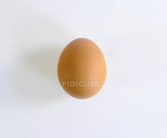 Huevo marrón ecológico - foto de stock