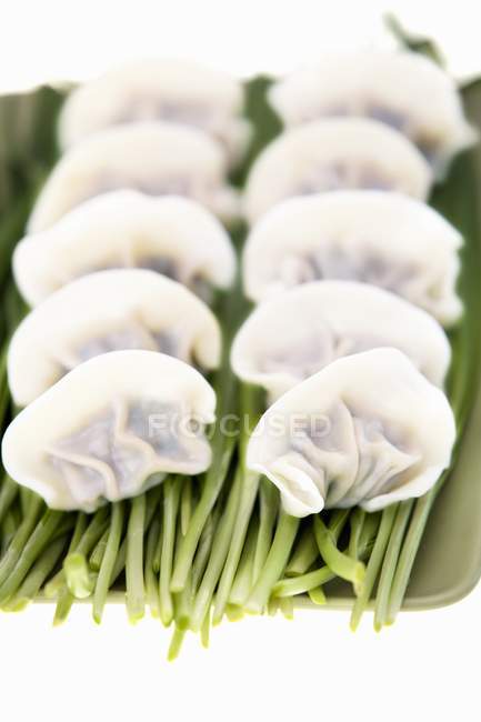 Closeup view of dumplings rows on herb — Stock Photo