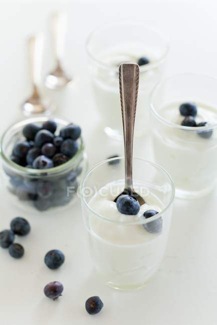 Стаканы йогурта со свежей голубикой — стоковое фото