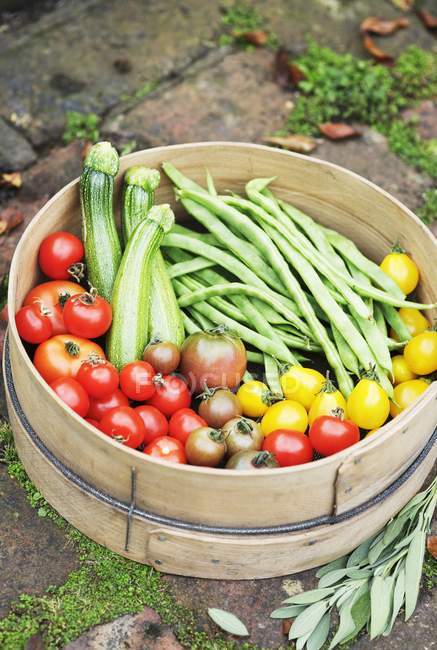 Verduras de jardín en el tamiz - foto de stock