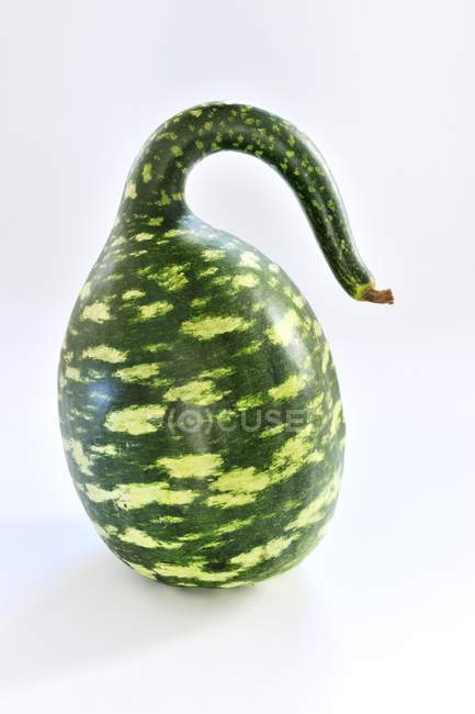 Green calabash laying on white plate — Stock Photo