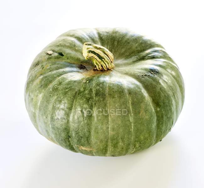 Fresh green pumpkin — Stock Photo