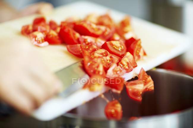 Chef tipping chopped tomatoes — Stock Photo