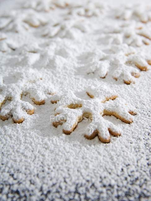 Christmas biscuits with icing sugar — Stock Photo