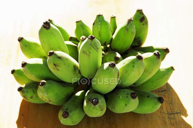 Собранные зеленые бананы — стоковое фото