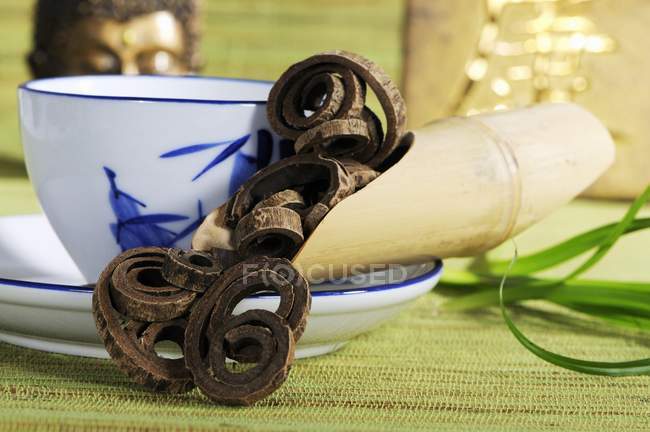Magnolienrinde mit einer Tasse Tee — Stockfoto