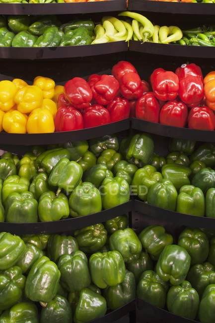 Fresh colorful Peppers — Stock Photo