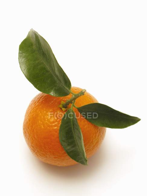 Мандарин оранжевый с листьями — стоковое фото