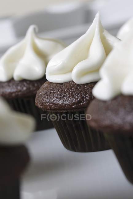 Mini Chocolate Cupcakes — Stock Photo