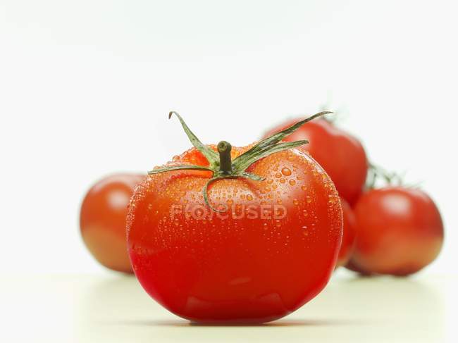 Tomates frescos húmedos - foto de stock