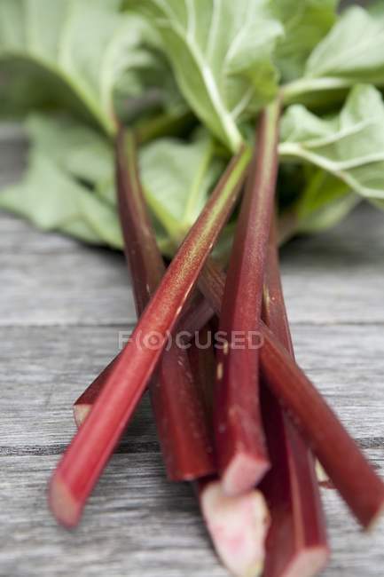 Bâtons de rhubarbe fraîche — Photo de stock