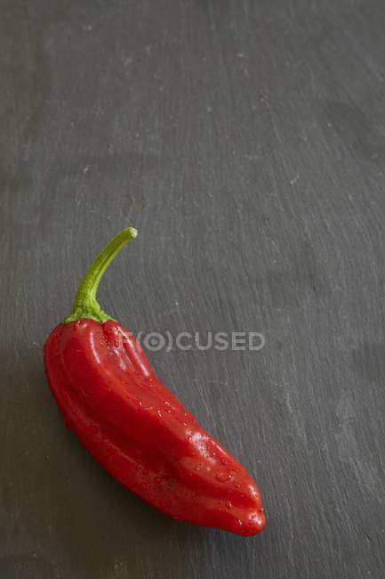 Fresh pointed red pepper — Stock Photo