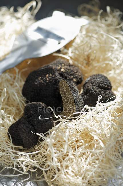 Black truffles on wood wool — Stock Photo