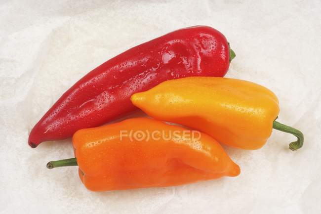 Rot und Orange spitz Paprika — Stockfoto