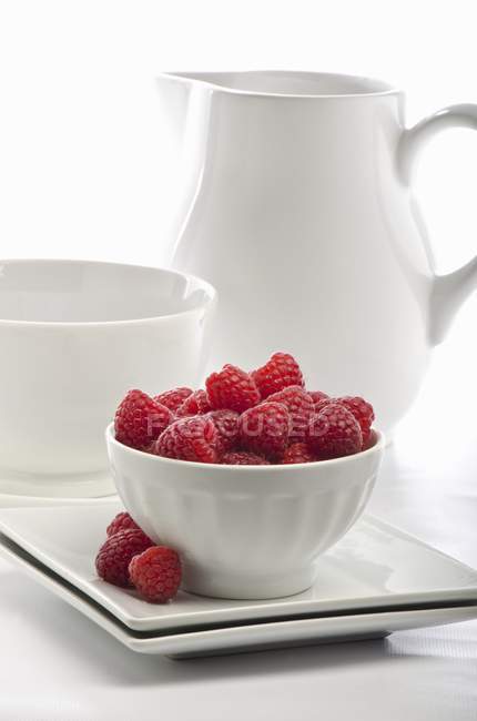 Bowl of Fresh Raspberries — Stock Photo