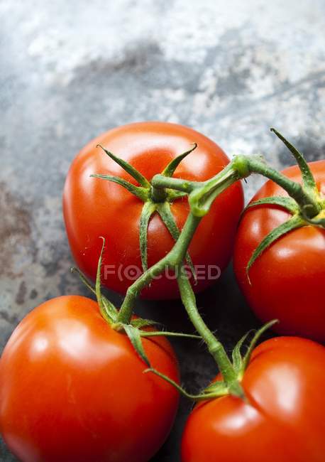 Quatro tomates maduros de videira — Fotografia de Stock