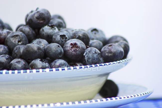 Fresh Blueberries in Bowl — Stock Photo