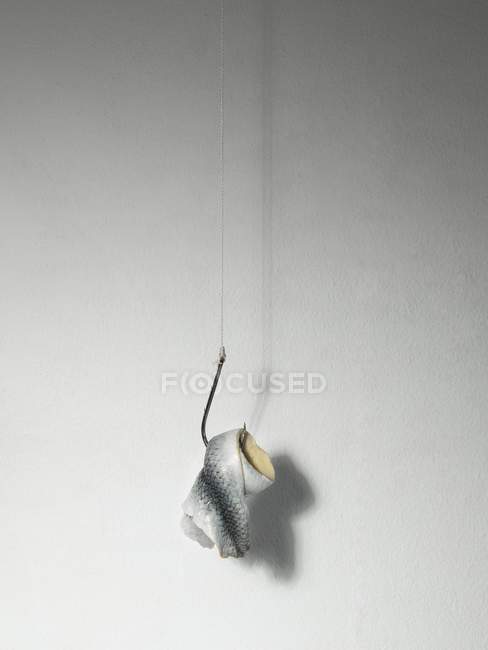 Herring fish fillet hanging on a hook — Stock Photo