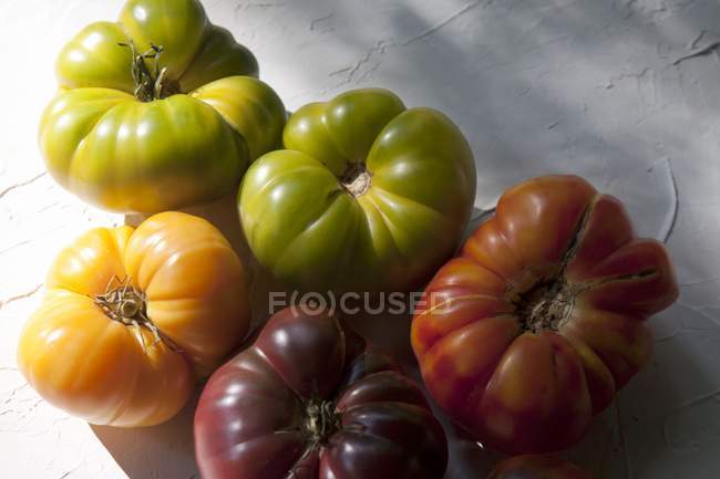 Tomates de relíquia orgânica — Fotografia de Stock