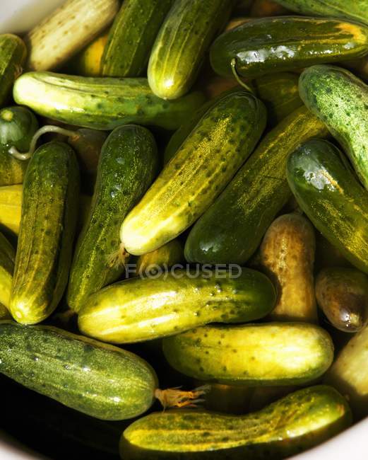 Cucumbers in Pickling Marinade — Stock Photo