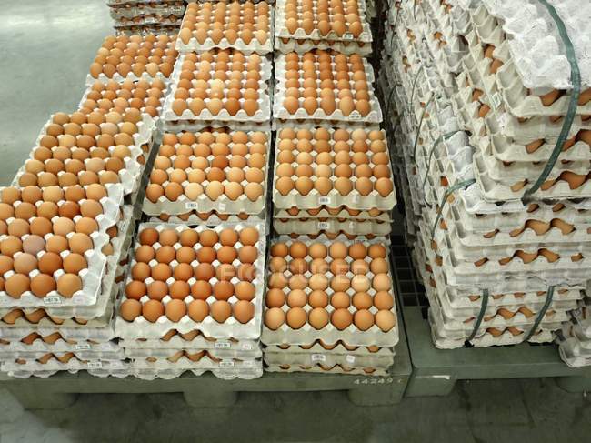 Vue surélevée des œufs bruns dans les plateaux d'œufs empilés — Photo de stock