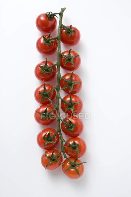 Tomates cherry en la vid - foto de stock