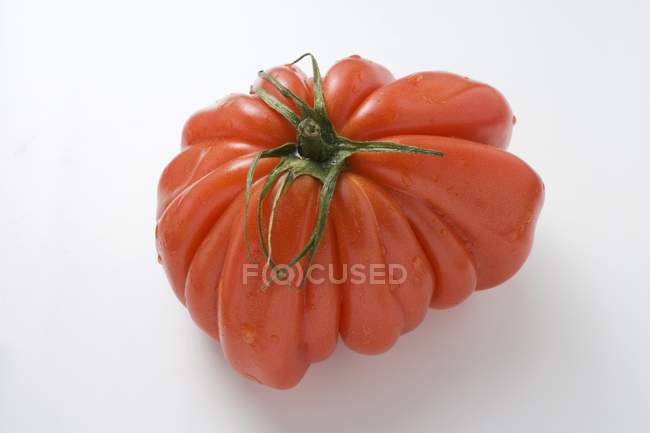 Червоний oxheart томатний — стокове фото