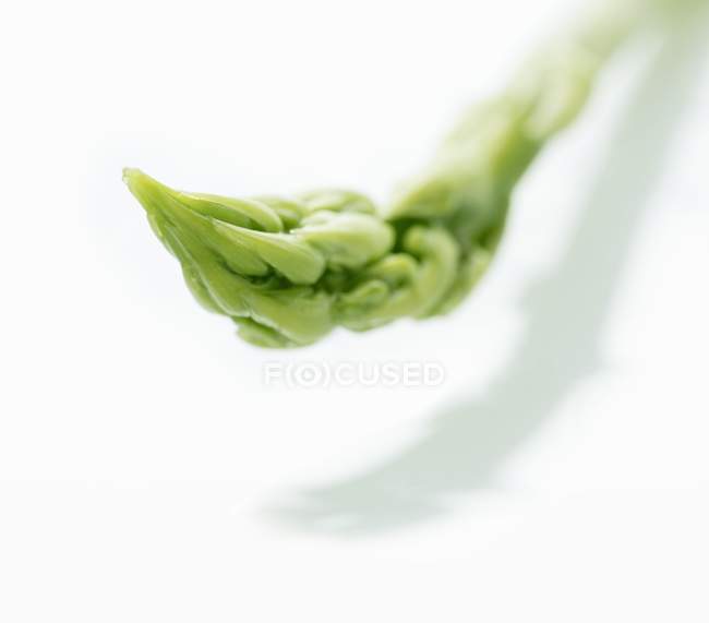Ponta de espargos verdes — Fotografia de Stock