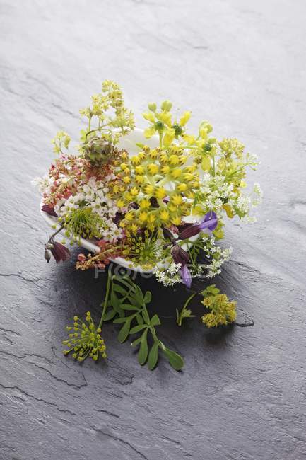 Elevated view of wild herb flowers on stone surface — Stock Photo