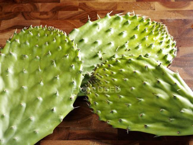 Vista de cerca de las almohadillas de cactus espinosas verdes - foto de stock