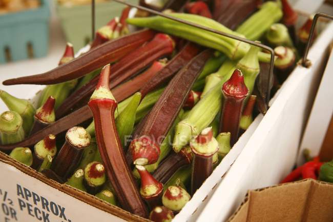 Okra verde y roja orgánica recién recolectada en un mercado de agricultores - foto de stock