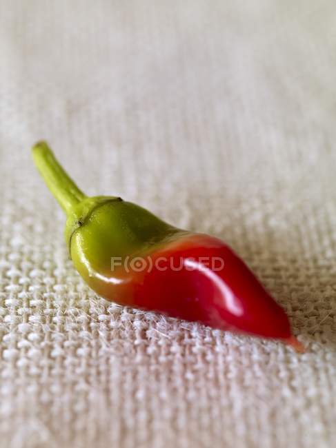 Fresh green and red Chili Pepper — Stock Photo