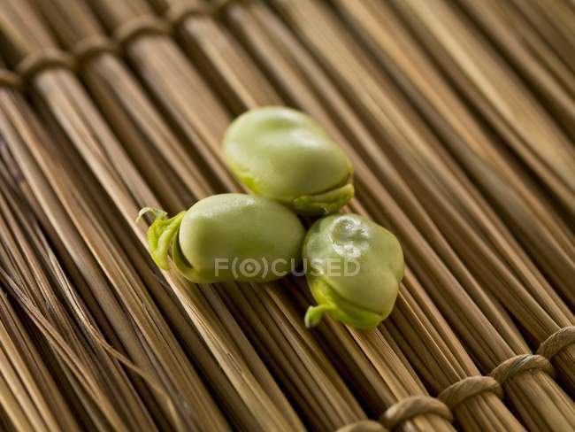 Fagioli di Fava freschi — Foto stock
