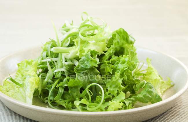 Vista de primer plano de ensalada verde con vinagreta - foto de stock