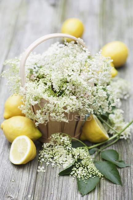 Holunderblüten im Korb mit frischen Zitronen — Stockfoto