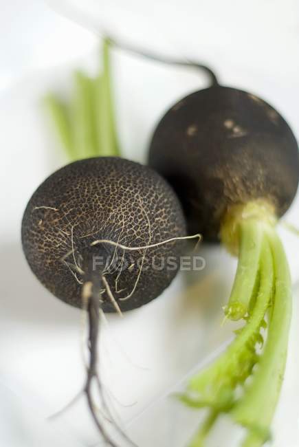 Fresh Black Radishes — Stock Photo