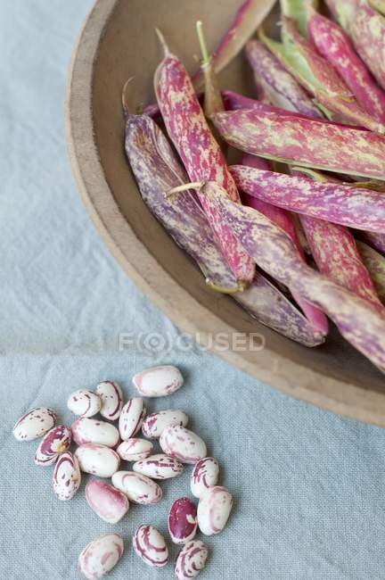 Fagioli di mirtillo fresco con baccelli — Foto stock
