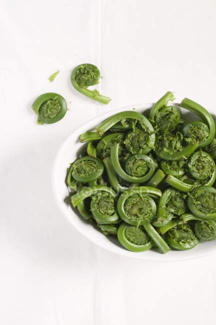 Maine Fiddleheads on white plate over white surface — Stock Photo