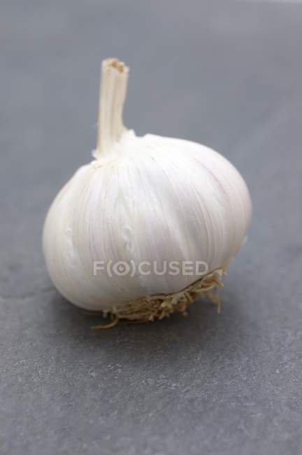 Bulbo di aglio fresco — Foto stock