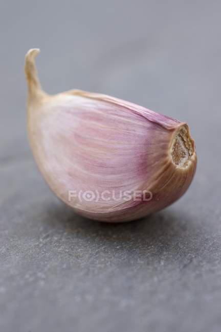 Fresh garlic clove — Stock Photo