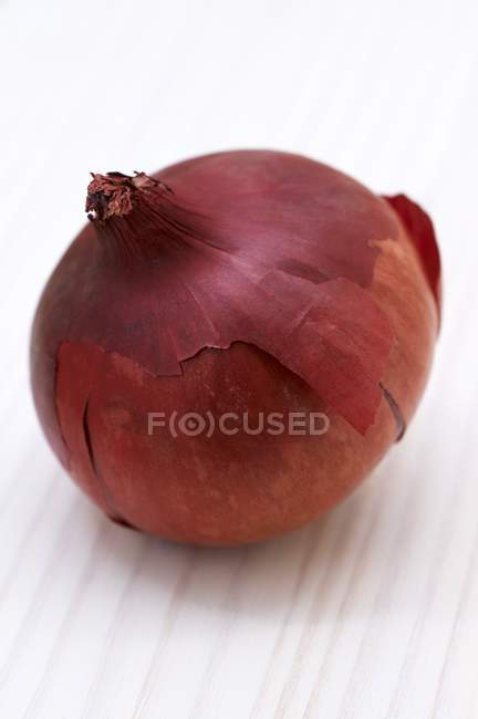 Cebolla roja entera - foto de stock