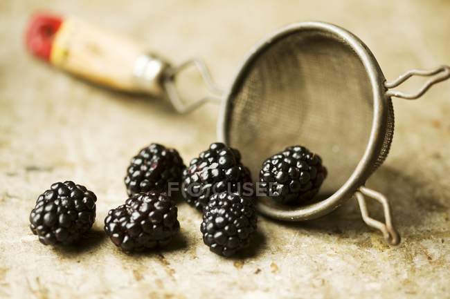 Черные ягоды, разлитые из Коландера — стоковое фото