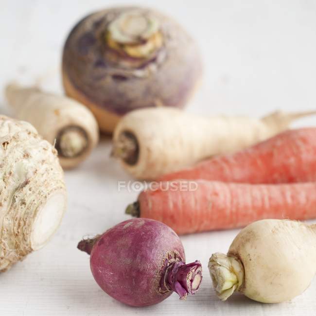 Fresh Root Vegetables — Stock Photo